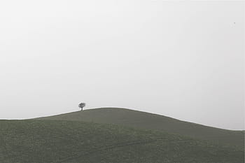 grass-hills-tree-grey-royalty-free-thumbnail.jpg