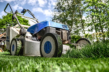 grass-lawn-mower-yard-royalty-free-thumbnail.jpg