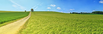 green-farm-field-widescreen-royalty-free-thumbnail.jpg