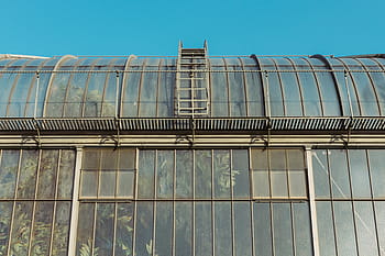 greenhouse-plants-industrial-windows-royalty-free-thumbnail.jpg