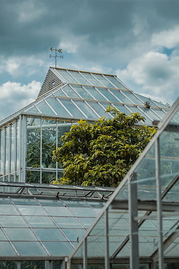 greenhouse-plants-nature-structure-glass-building-royalty-free-thumbnail.jpg