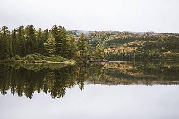 green-trees-water-lake-royalty-free-thumbnail.jpg